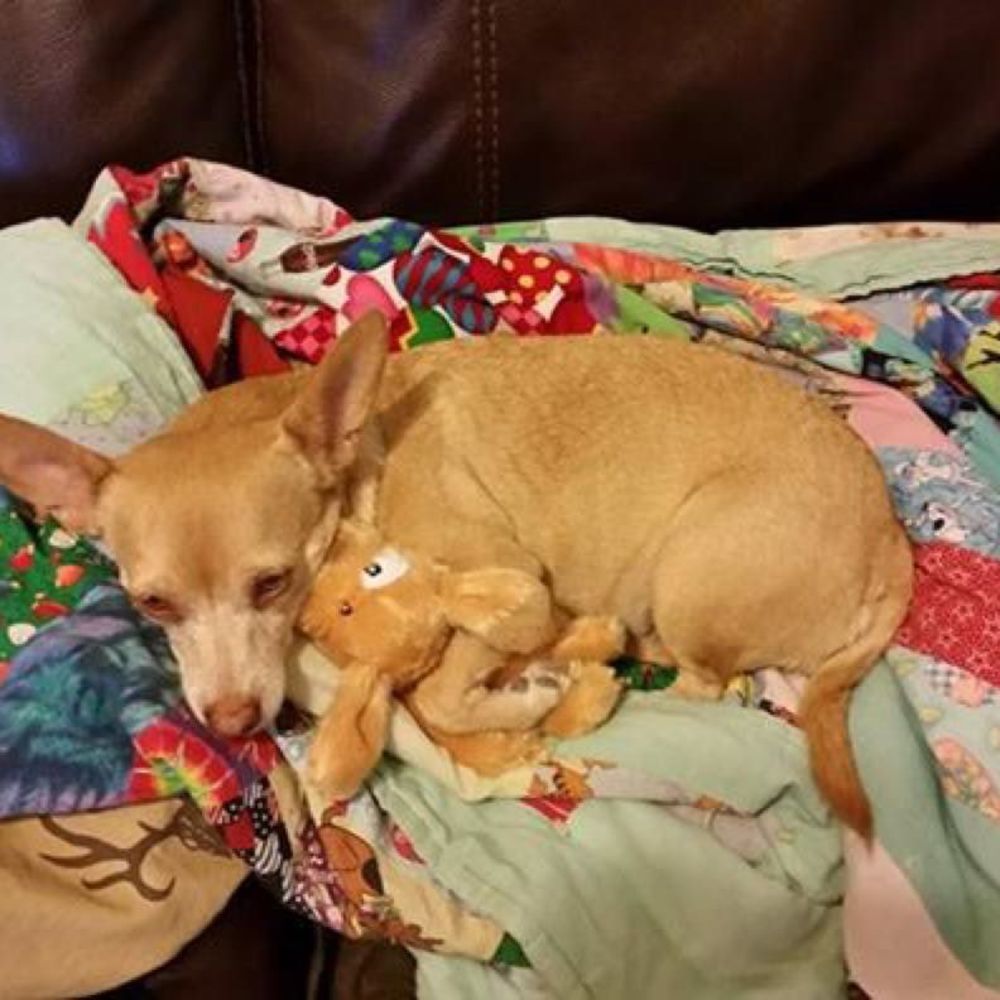 Meet your Posher, April